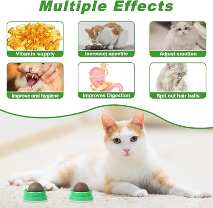 Pack de 4 Bolas de Catnip y Silvervine para Gatos | Juguetes Naturales para Limpiar los Dientes, Reducir el Estrés y Estimular el Juego