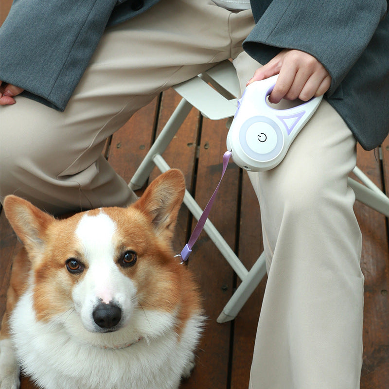 Correa Retráctil con Luz LED para Perros y Gatos – Paseos Nocturnos Más Seguros