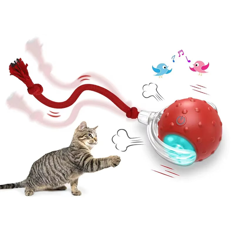 Bird Sound Electric Smart Self-Rolling Interactive Smar Cat Ball Automatic Moving Rechargeable Interactive Cat Toys with Rope
