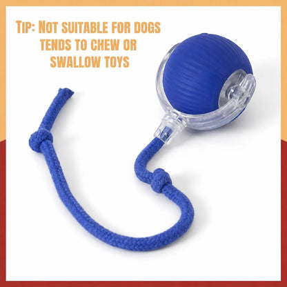 Interactive Cat Toys for Indoor Cats Agility Move Cat Balls Motion Activated Cat Balls for Bored Indoor Cats Play Alone All Day Cat'S Hunting Moment