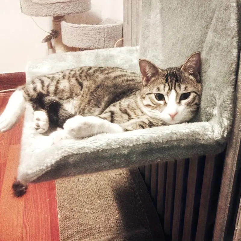 Hamaca Relax™ | Cama Transpirable para Gatos