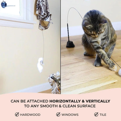 Pack 10 Juguetes para Gatos con Ventosa | Pájaros Interactivos, Plumas, Ratón, Cascabeles y Silvervine para Juegos y Cuidado Dental