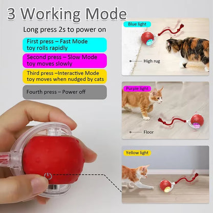 Bird Sound Electric Smart Self-Rolling Interactive Smar Cat Ball Automatic Moving Rechargeable Interactive Cat Toys with Rope