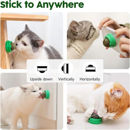 Pack de 4 Bolas de Catnip y Silvervine para Gatos | Juguetes Naturales para Limpiar los Dientes, Reducir el Estrés y Estimular el Juego