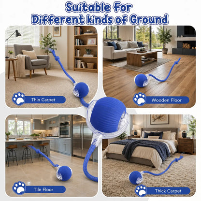 Interactive Cat Toys for Indoor Cats Agility Move Cat Balls Motion Activated Cat Balls for Bored Indoor Cats Play Alone All Day Cat'S Hunting Moment