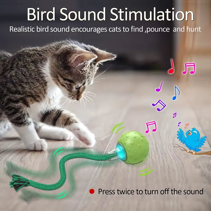 Bird Sound Electric Smart Self-Rolling Interactive Smar Cat Ball Automatic Moving Rechargeable Interactive Cat Toys with Rope