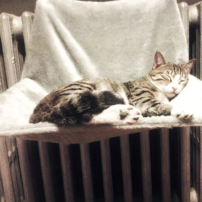 Hamaca Relax™ | Cama Transpirable para Gatos