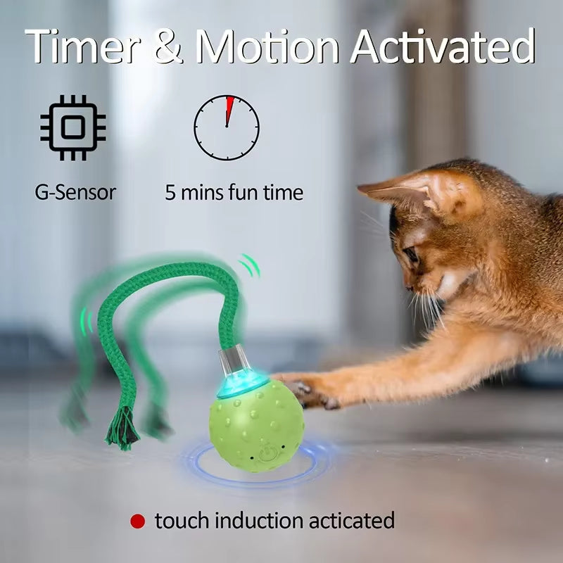Bird Sound Electric Smart Self-Rolling Interactive Smar Cat Ball Automatic Moving Rechargeable Interactive Cat Toys with Rope