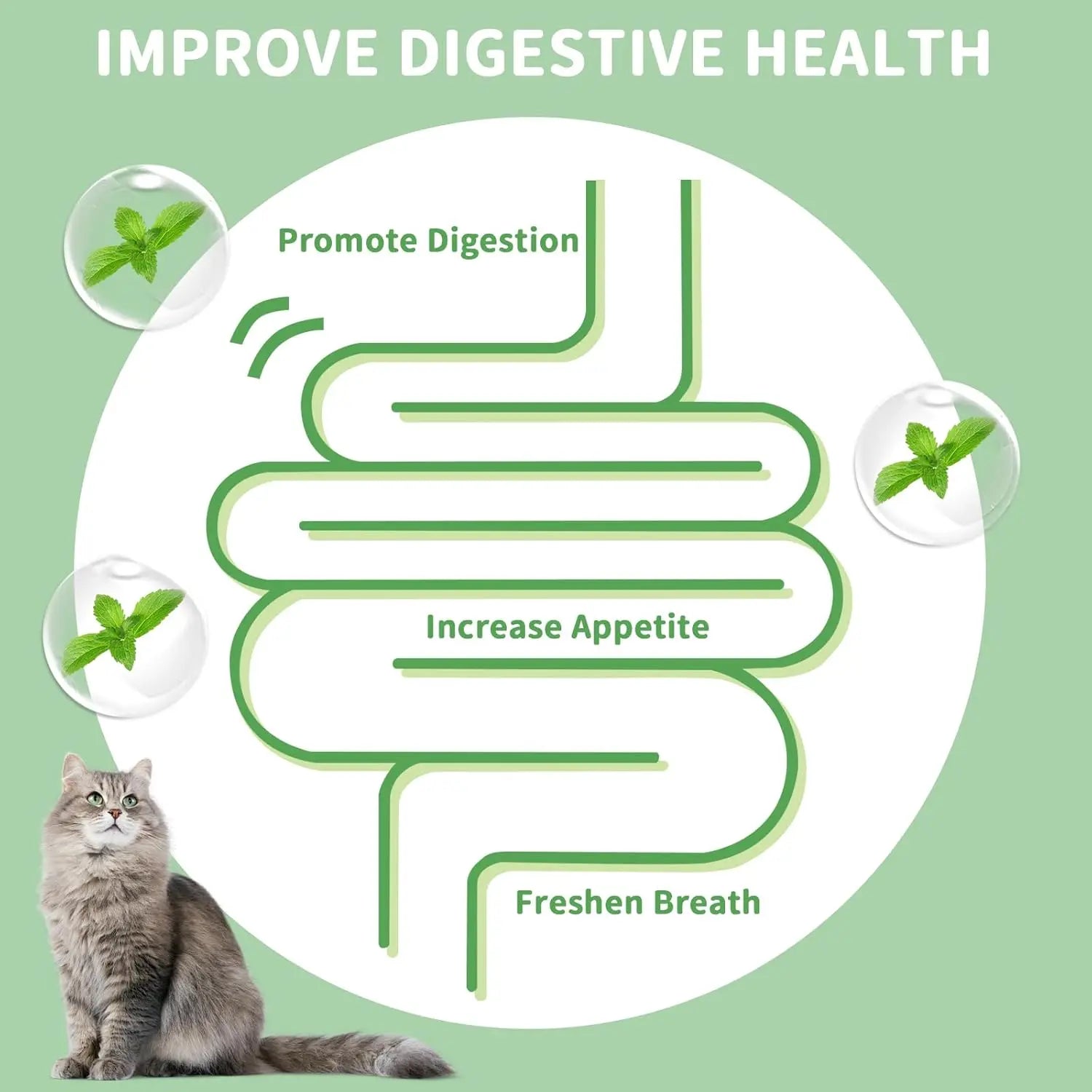 Pack de 4 Bolas de Catnip y Silvervine para Gatos | Juguetes Naturales para Limpiar los Dientes, Reducir el Estrés y Estimular el Juego