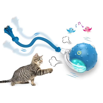 Bird Sound Electric Smart Self-Rolling Interactive Smar Cat Ball Automatic Moving Rechargeable Interactive Cat Toys with Rope