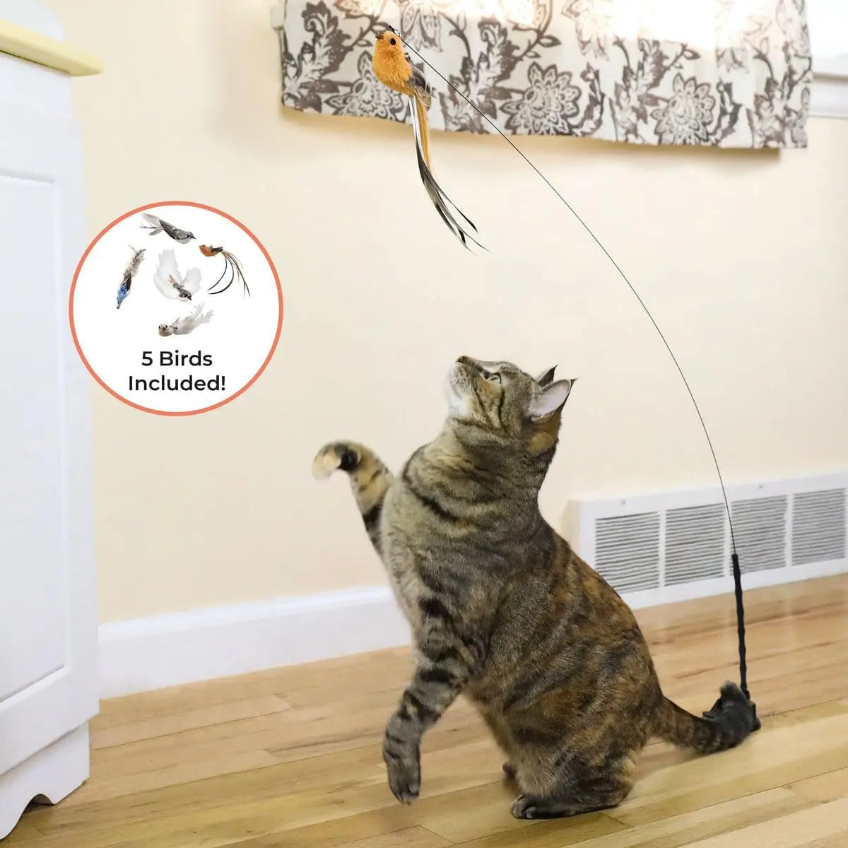 Pack 10 Juguetes para Gatos con Ventosa | Pájaros Interactivos, Plumas, Ratón, Cascabeles y Silvervine para Juegos y Cuidado Dental