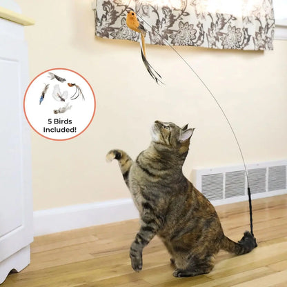 Pack 10 Juguetes para Gatos con Ventosa | Pájaros Interactivos, Plumas, Ratón, Cascabeles y Silvervine para Juegos y Cuidado Dental