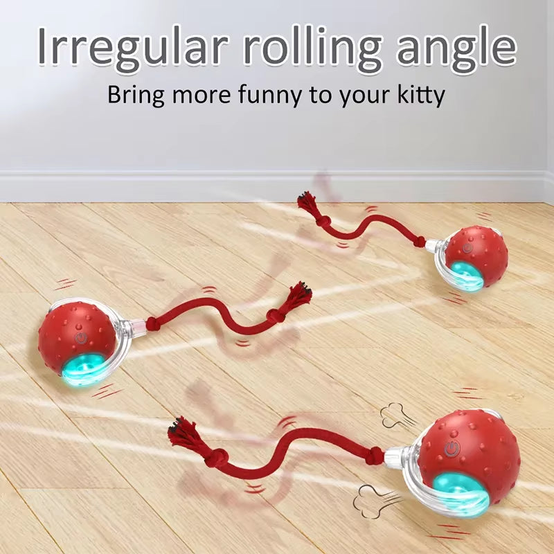 Bird Sound Electric Smart Self-Rolling Interactive Smar Cat Ball Automatic Moving Rechargeable Interactive Cat Toys with Rope