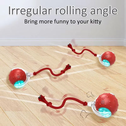 Bird Sound Electric Smart Self-Rolling Interactive Smar Cat Ball Automatic Moving Rechargeable Interactive Cat Toys with Rope